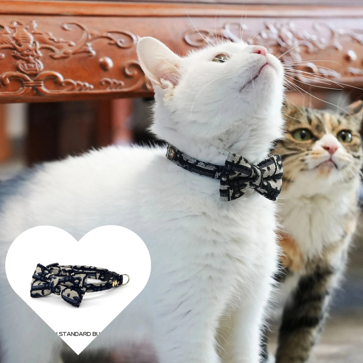 Detachable Collar Series – Charm Curve Boutique